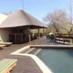 safari in una riserva privata in Sudafrica