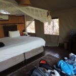 safari in una riserva privata in Sudafrica