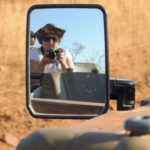 safari