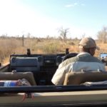 safari