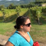 soave borgo vino