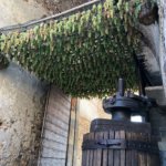 soave borgo vino