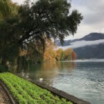 lugano