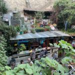 Cruin pub szimpla kert