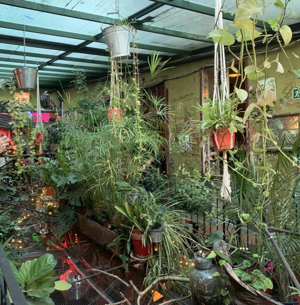 ruin pub szimpla kert