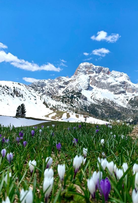 la mia storia con la montagna, beatrice clerici