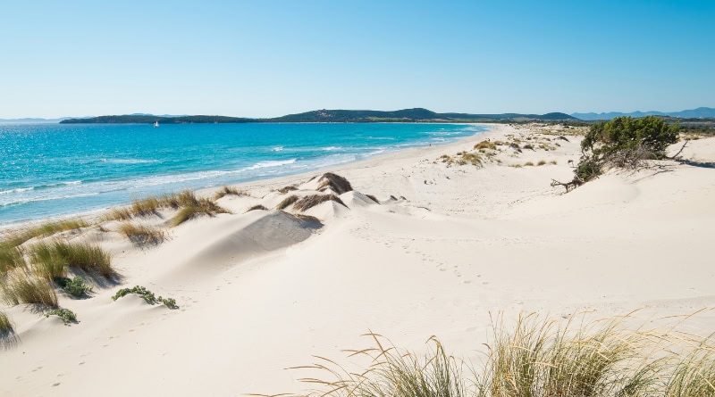 traghetti economici per la sardegna