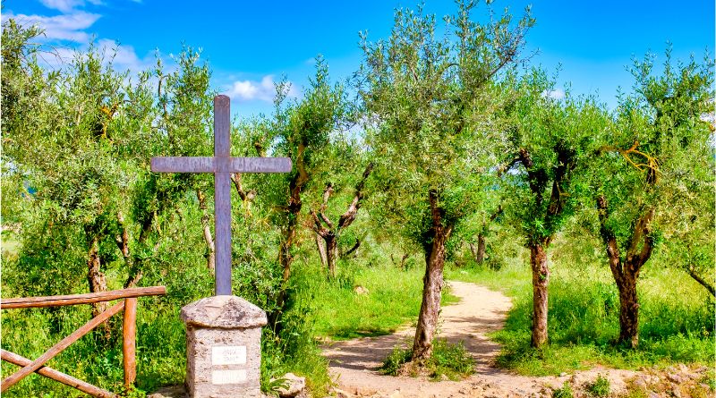 cammini da fare in italia
